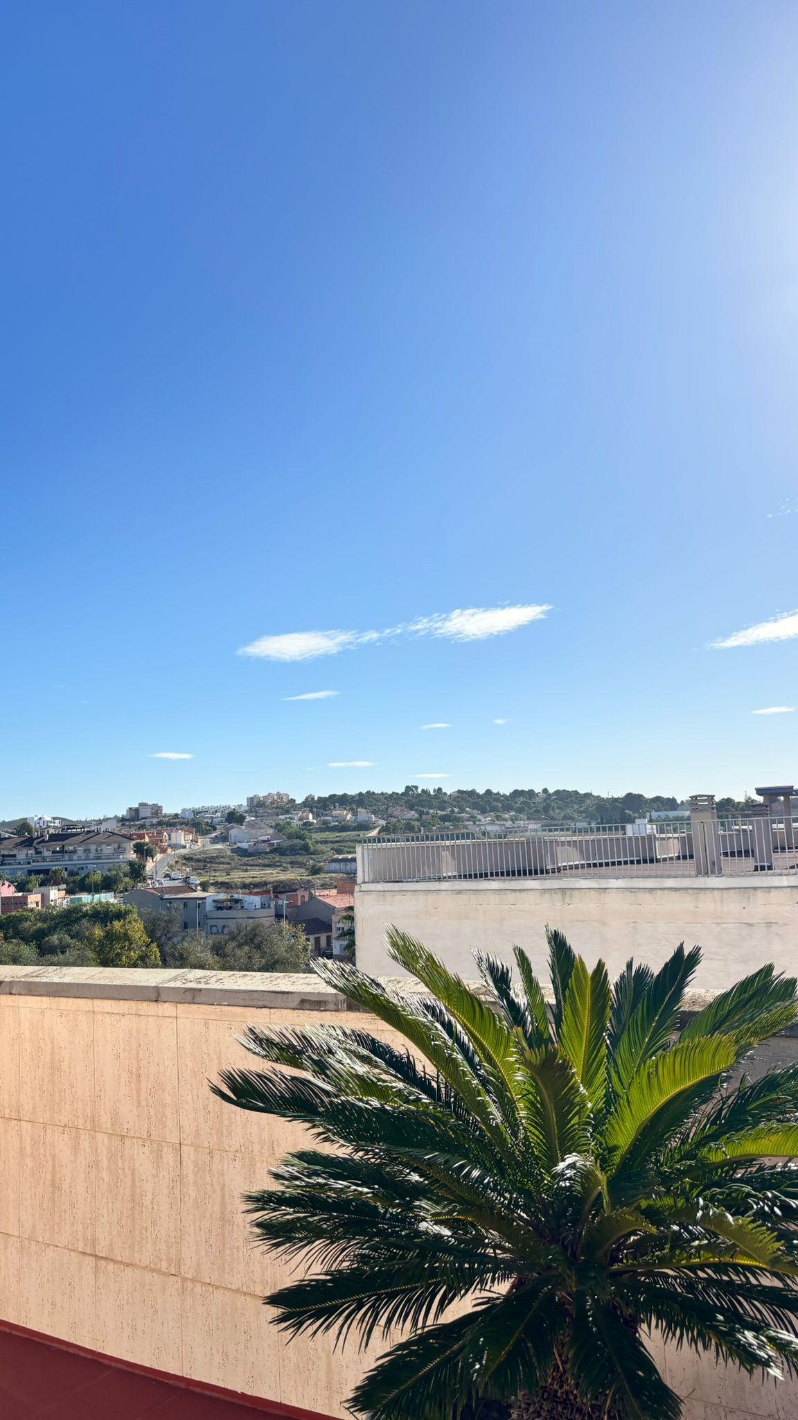 Ático en calle mayor, Molina de Segura - Imagen 14